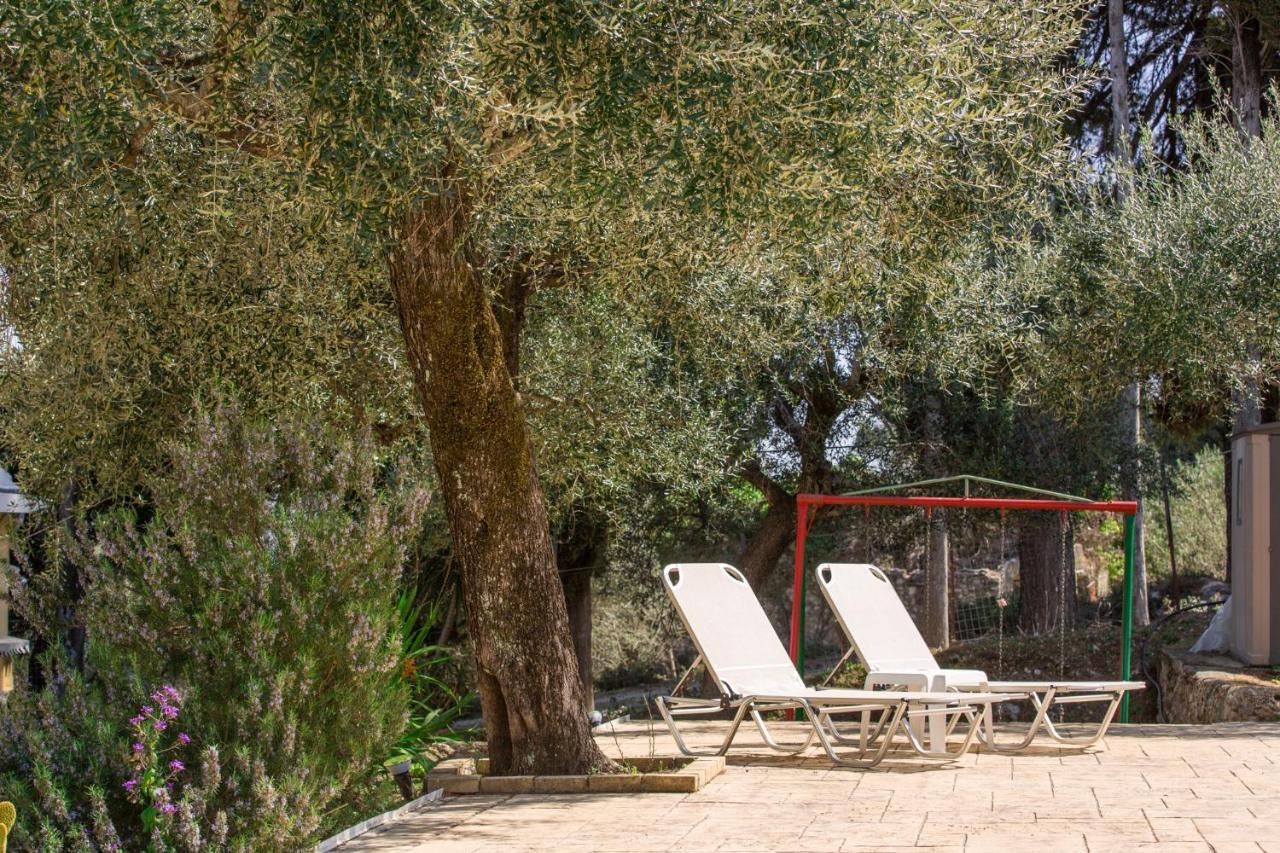 Olive Grove Poolside Apartments Benitses  Ngoại thất bức ảnh