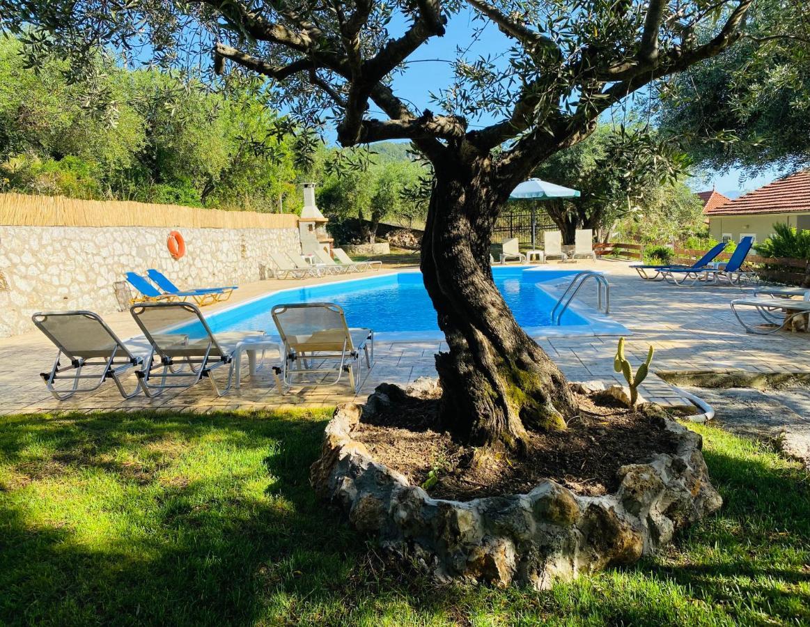 Olive Grove Poolside Apartments Benitses  Ngoại thất bức ảnh